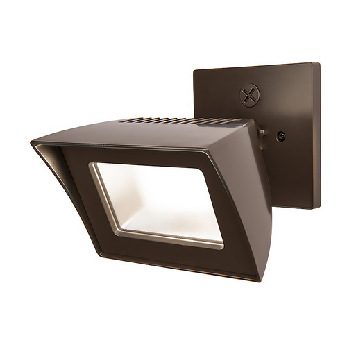 WAC Lighting Endurance Flood PRO Energy Star LED Flood Light