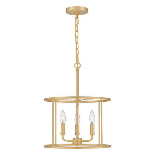 Quoizel QZL-ABR2814 Transitional Pendant 3 light