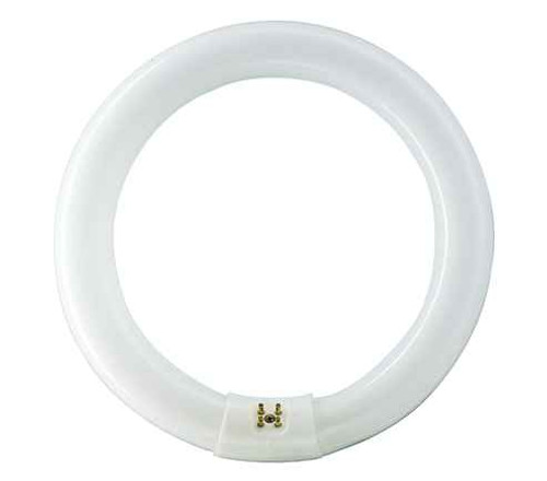 Philips Lighting 928028403335 FC8T9/COOL WHITE PLUS