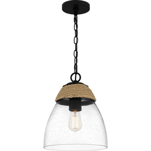 Quoizel QZL-QPP5589 Coastal Mini pendant 1 light