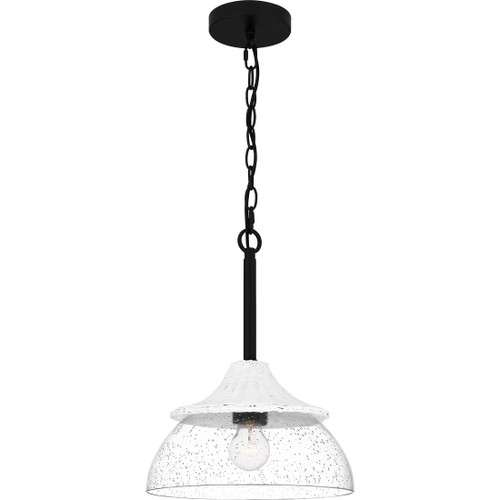 Quoizel QZL-OTN1512 Coastal Mini pendant 1 light