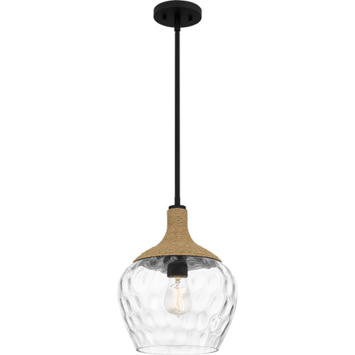 Quoizel QZL-QPPC5603 Coastal Mini pendant 1 light