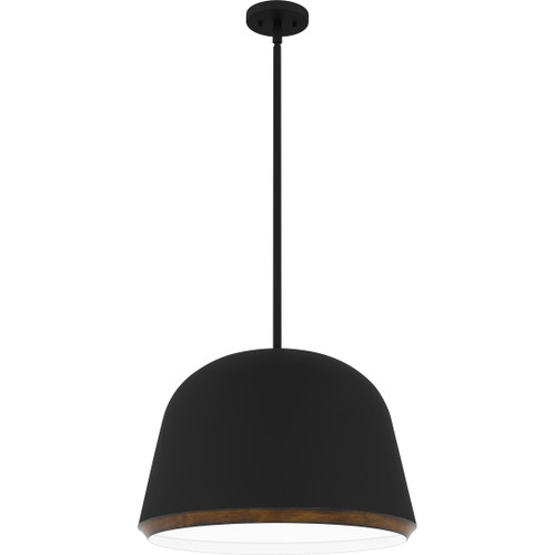 Quoizel  Modern Pendant 4 lights QZL-TMR2820