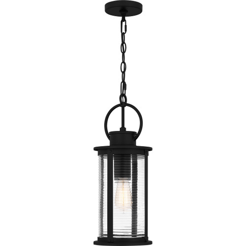 Quoizel QZL-TLM1507 Coastal Mini pendant 1 light