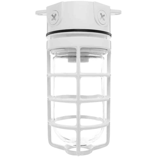 RAB VX100 Vaporproof Ceiling Fixture 100W with Cast Guard and Glass Globe