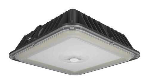 RAB VAN17 Field-Adjustable LED Vandalproof Fixture (20W–90W, Photocell, Optional Battery Backup)