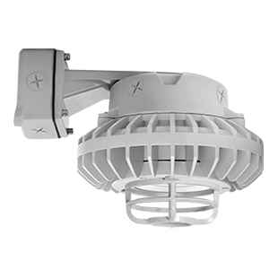 RAB 26W LED Hazardous Location Wall Bracket Light with 5000K Color Temperature and Gray Finish