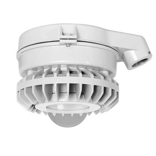 RAB 26W LED Hazardous Location Wall Bracket Light with 5000K Color Temperature and Multiple Lens Options