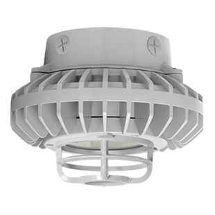 RAB 42W LED Hazardous Location Wall Bracket Light with 5000K Color Temperature and Guard Options