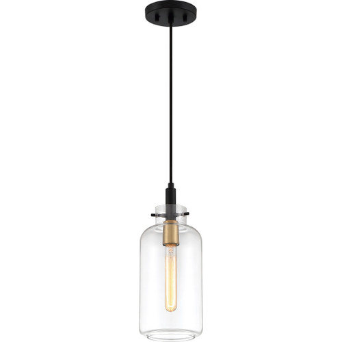 Quoizel QZL-TGN1506 Transitional Mini pendant 1 light