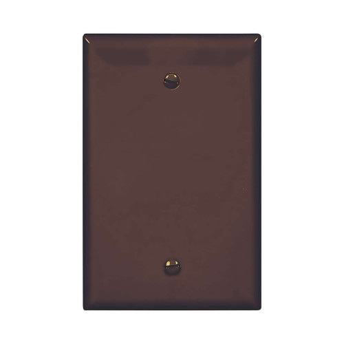 Cooper Wiring Devices Mid-Size Polycarbonate Blank Wallplate