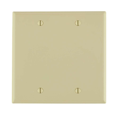 Leviton Box Mount Nylon 2-Gang Blank Wallplate