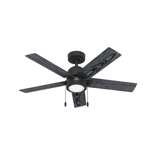 Hunter 44" 5 Blade Erling Ceiling Fan with LED Light Kit and Pull Chain