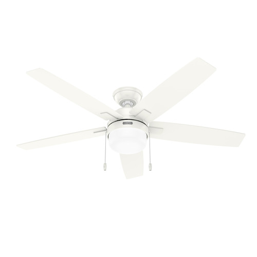 Hunter 52" 5 Blade Anisten Ceiling Fan with LED Light Kit and Pull Chain