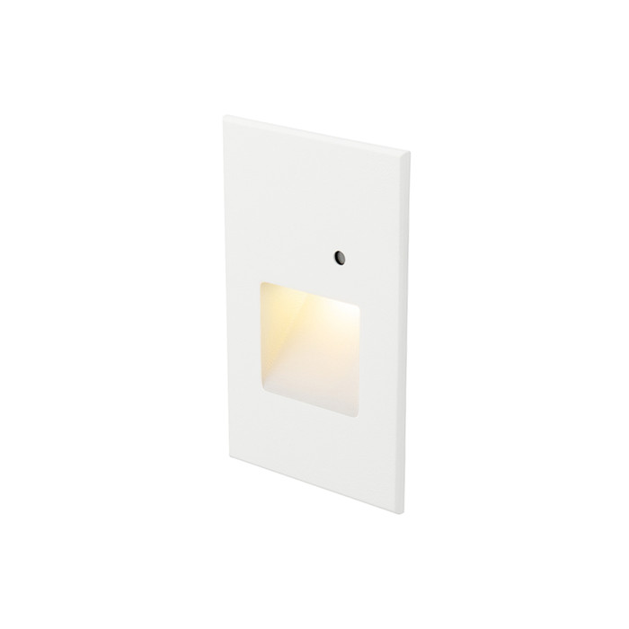 WAC Lighting LEDme 120V Vertical Step and Wall Light with Daylight Photocell Sensor and AM Finish