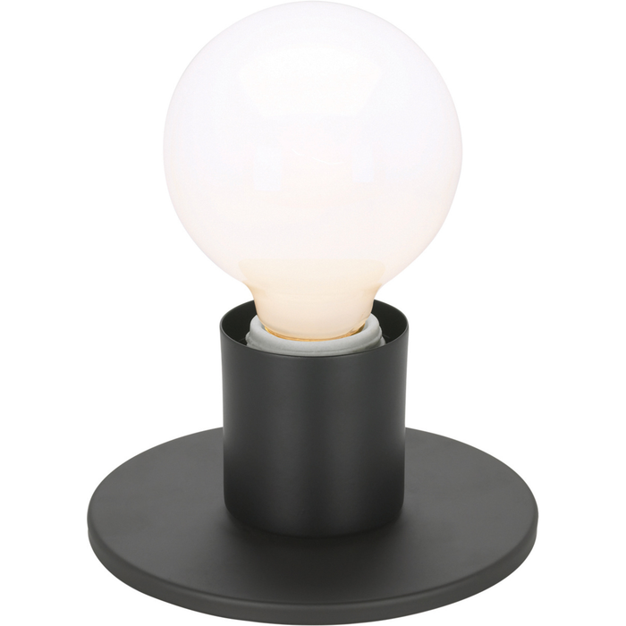 NUVO Lighting 60-4804 1-Light, Dual Surface Mount Fixture, Medium Base
