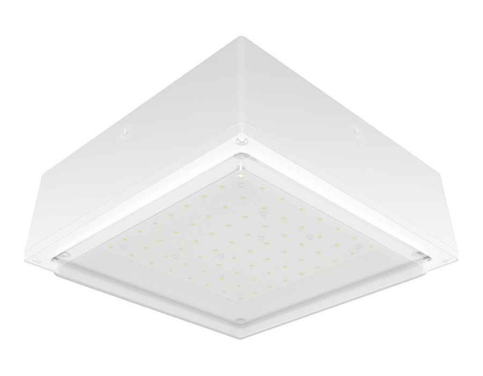 RAB VANLED52NFRW CANOPY LIGHTS 7123 LUMENS VANLED 52W FROSTED LENS WHITE