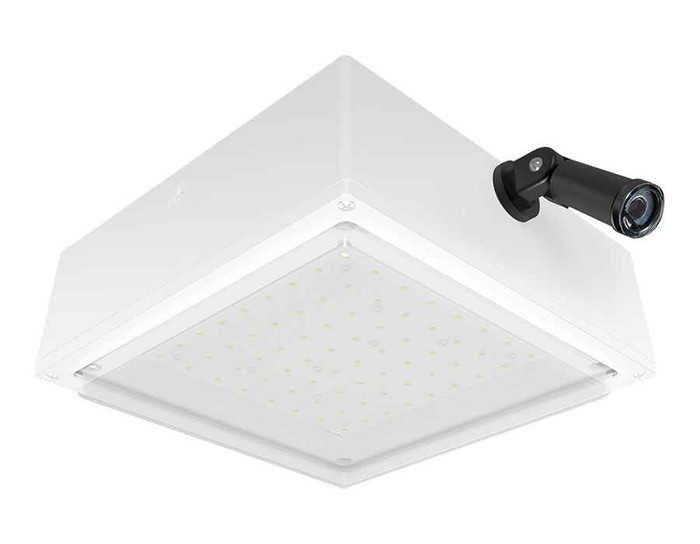 RAB VANLED40FRW/480/PCS4 CANOPY LIGHTS 5307 LUMENS VANLED 40W 480V FROSTED LENS 480V SWIVEL PHOTOCELL 480V SWIVEL PHOTOVELL WHITE