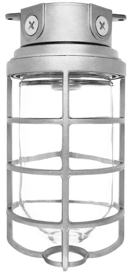 RAB VX200DG VAPORPROOF 200 CEILING 4 INCHES BOX 1/2 INCH WITH GLASS GLOBE CAST GUARD