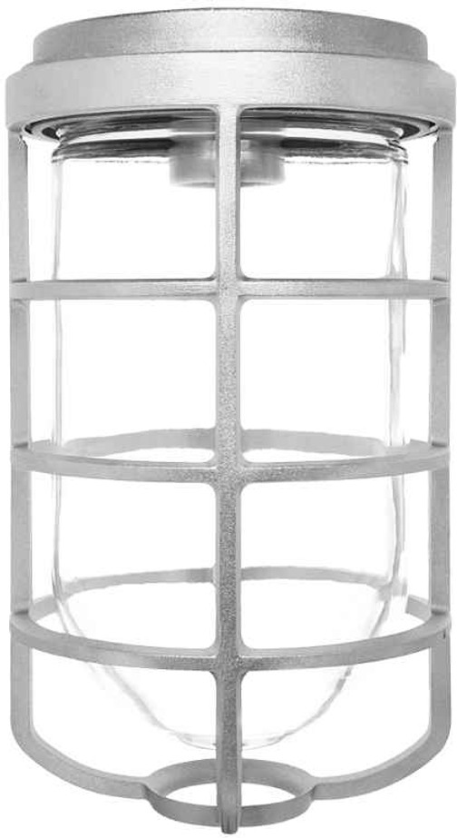 RAB VC200DGS VAPORPROOF 200 CEILING SILVER WITH GLASS GLOBE CAST GUARD RAB VC200DGS VAPORPROOF 200 CEILING SILVER WITH GLASS GLOBE CAST GUARD