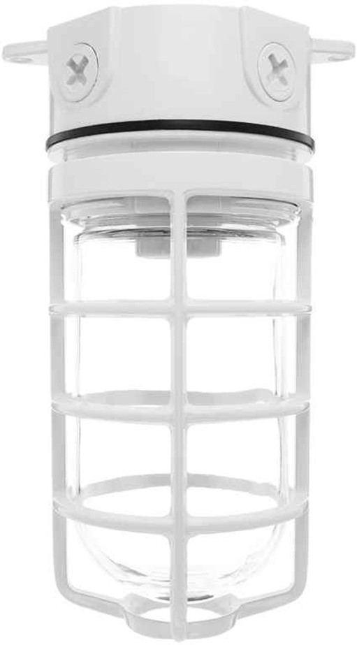RAB VX100DGW VAPORPROOF 100 CEILING 4 INCHES BOX 1/2 INCH WHITE WITH GLOBEGLOBE CAST GUARD