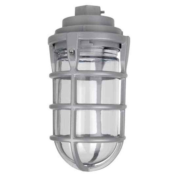 Red Dot VKG-11-C 1/2inch PEND CAP 100W W/GLOBE&GRD