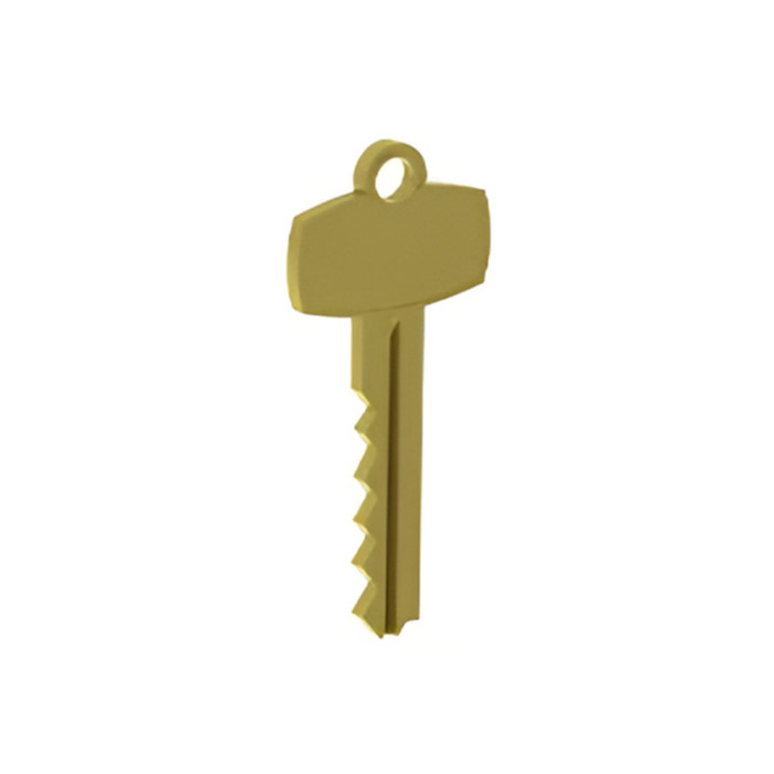Hager 2-639-7169 BLUE Construction Control Key
