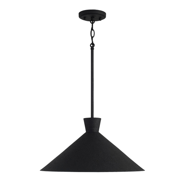 Capital Lighting CAP-350312 Paloma Modern 1-Light Pendant