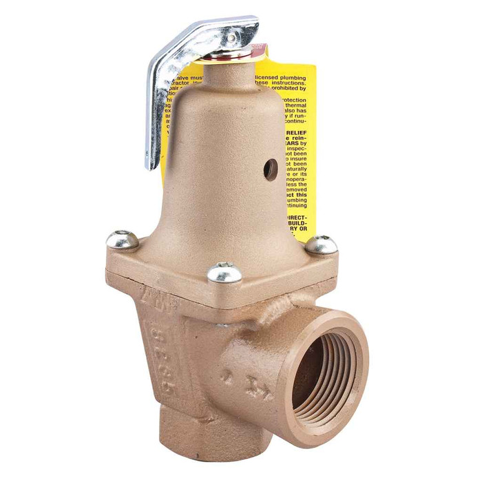 Watts 0384042 2 In Iron Boiler Pressure Relief Valve, 30 psi, Expanded Outlets