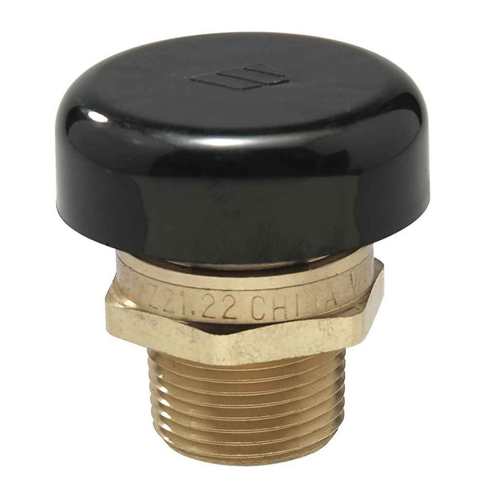 Watts LFN36M1 1/2 1/2 In Lead Free Brass Vacuum Relief Valve, Male Npt, Protective Cap