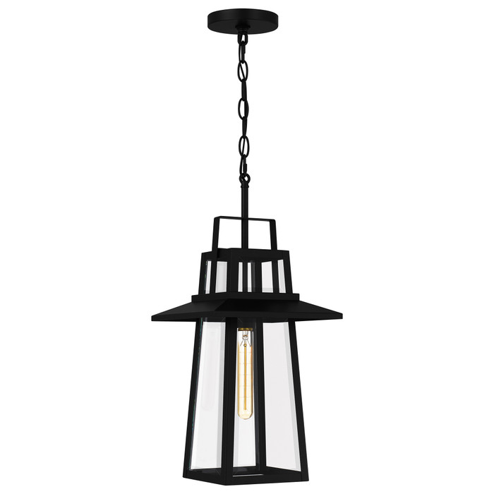 Quoizel QZL-DEV1910 Transitional Outdoor hanging 1 light