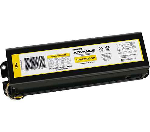 Philips Lighting 913700501071 STANDARD RL2SP20TPI