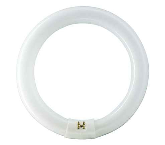 Philips Lighting 391169 FC8T9/COOL WHITE PLUS