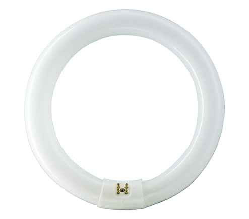 Philips Lighting 928028403335 FC8T9/COOL WHITE PLUS