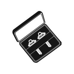 Schlage 35-223 Velvet Case With 2 Standard Bow Classic Gold Plated Blanks, Embossed Both Sides, 5-Pin, C Keyway