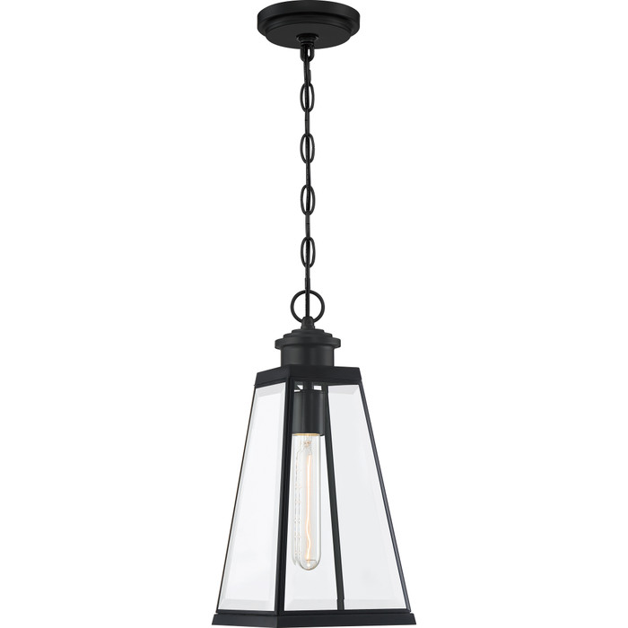 Quoizel QZL-PAX1507 Transitional Mini pendant 1 light