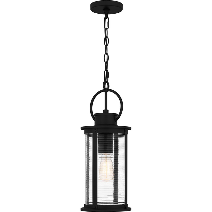 Quoizel QZL-TLM1507 Coastal Mini pendant 1 light
