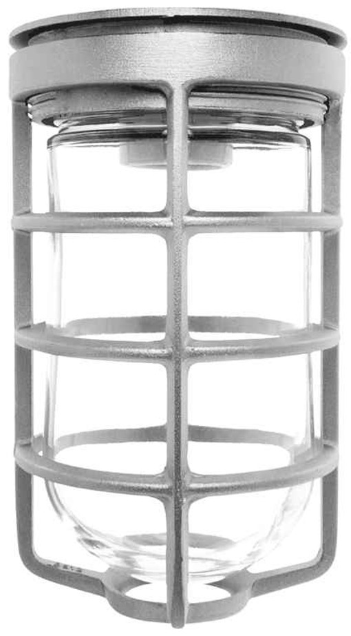 RAB VC100DG Vaporproof Ceiling Mount Fixture – 100W, Glass Globe with Guard (Gray Finish)