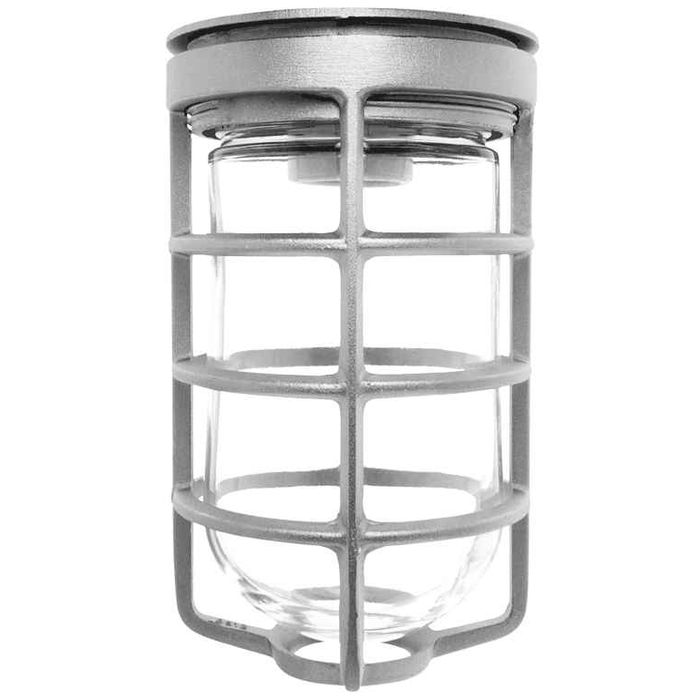 RAB VC100DG Vaporproof Ceiling Mount Light Fixture - 100W A19 with Glass Globe and Guard in Gray Finish