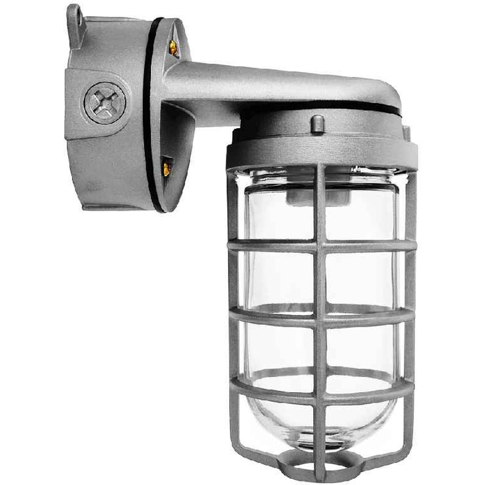 RAB VXBR100 Vaporproof Wall Bracket 100W with 4-Inch Box and Cast Guard Glass Globe