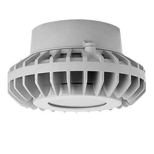 RAB HAZPLED26 26W LED Hazardous Location Wall Bracket Light (5000K, Clear/Frosted Globe or Flat Lens, Guard Options, Gray Finish)