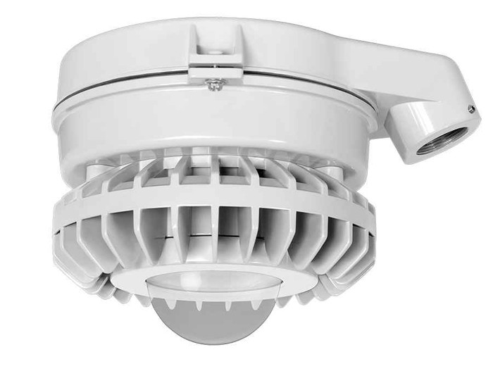 RAB HAZSLED26 26W LED Hazardous Location Wall Bracket Light (5000K, Clear/Frosted/Colored Globe or Flat Lens, Guard Options, Gray Finish)