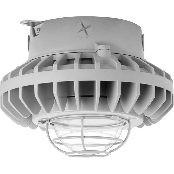 RAB 26W LED Hazardous Location Wall Bracket Light with 5000K Color Temperature & Gray Finish