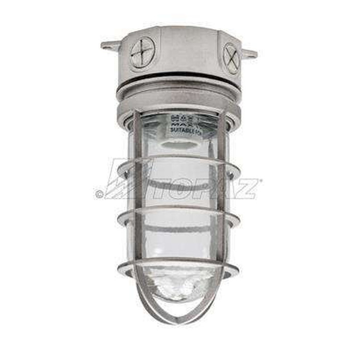 Topaz Lighting Vaporproof Ceiling Base with Cage, Copper-Free Aluminum, 100W