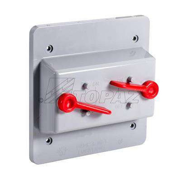 Topaz Lighting Weatherproof Schedule 40 PVC Double Toggle Switch Cover