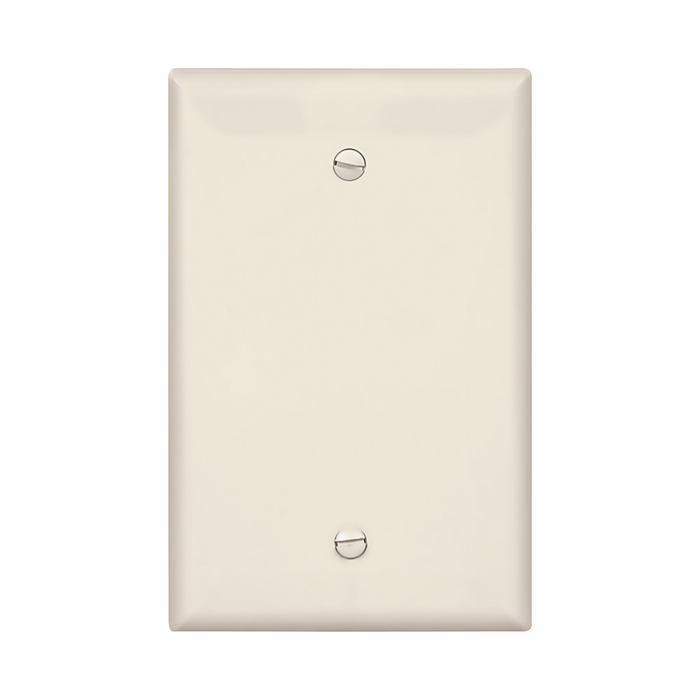 Eaton Single-Gang Blank Wallplate, Polycarbonate