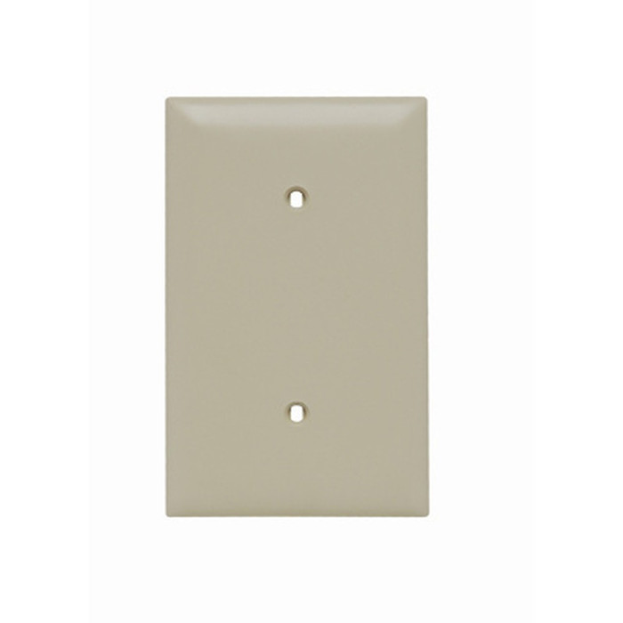 Pass & Seymour TradeMaster 1-Gang Nylon Blank Wall Plate, Strap Mounted