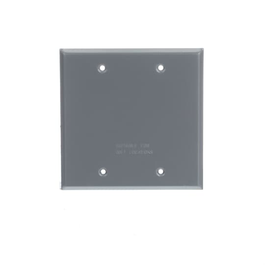 Thomas & Betts Red Dot 2CCB 2-Gang Blank Device Cover
