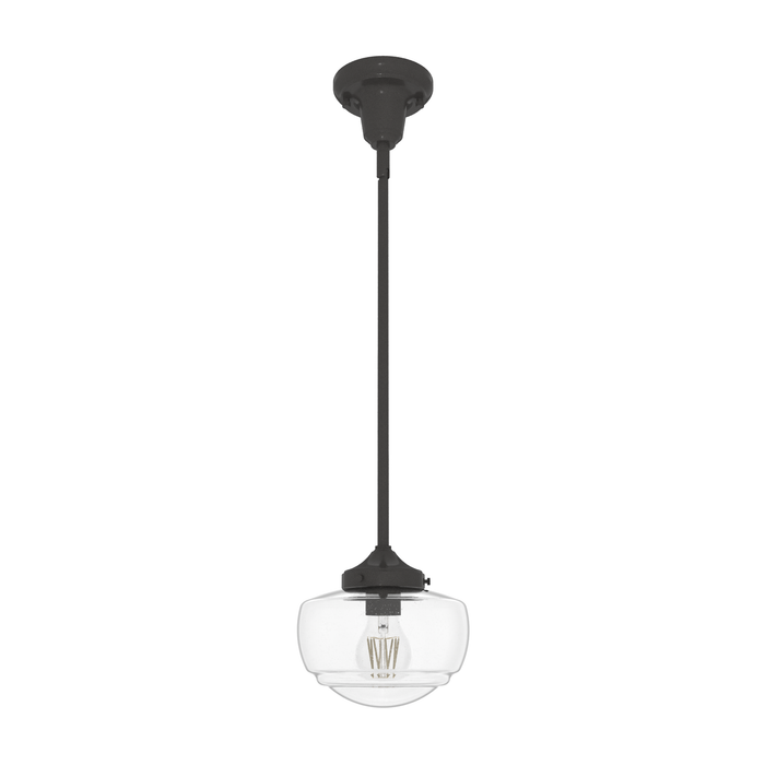 Hunter Saddle Creek Clear Seeded Glass 1-Light Mini-Pendant