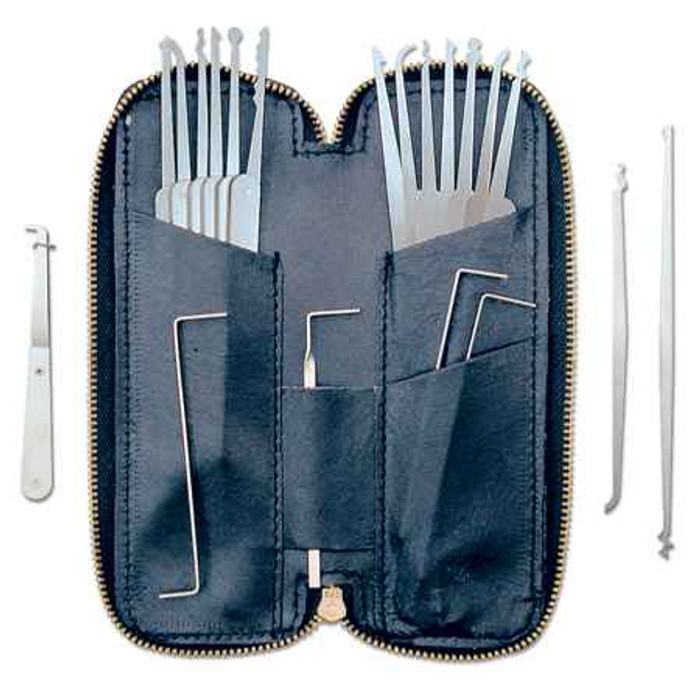 Pro-Lok - 20pcs. Pick Set & Case